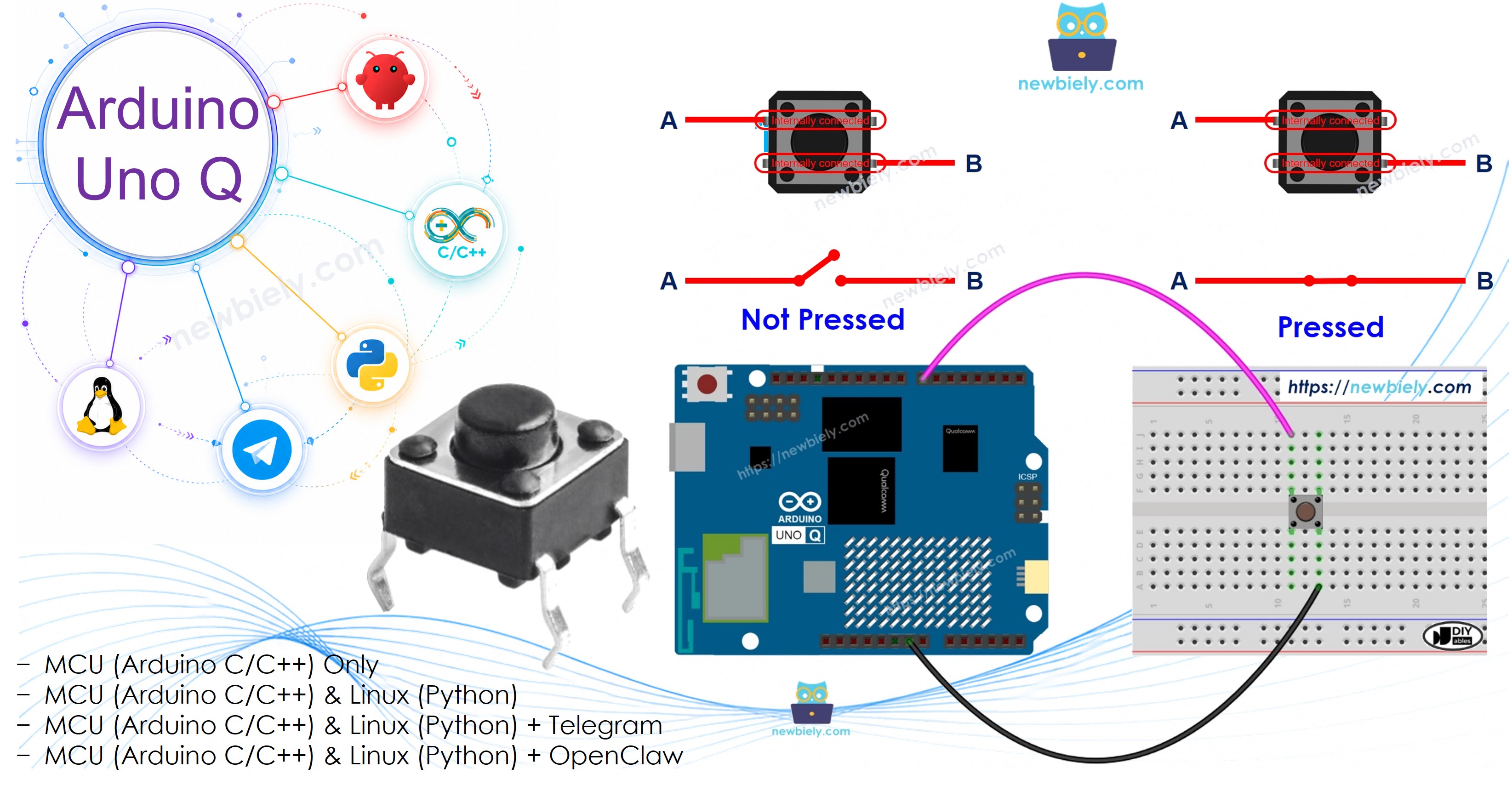Arduino UNO Q - 버튼