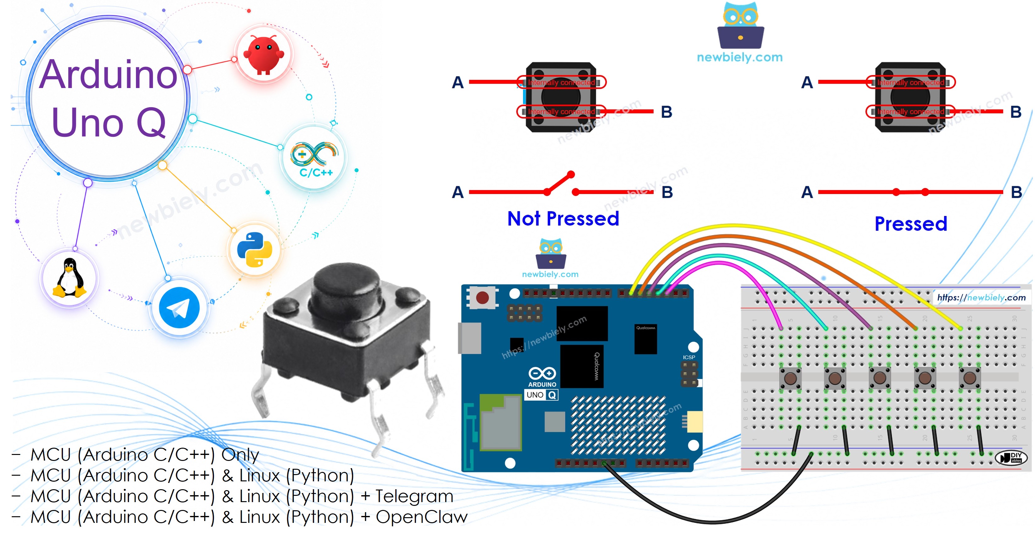 Arduino UNO Q - 여러 버튼