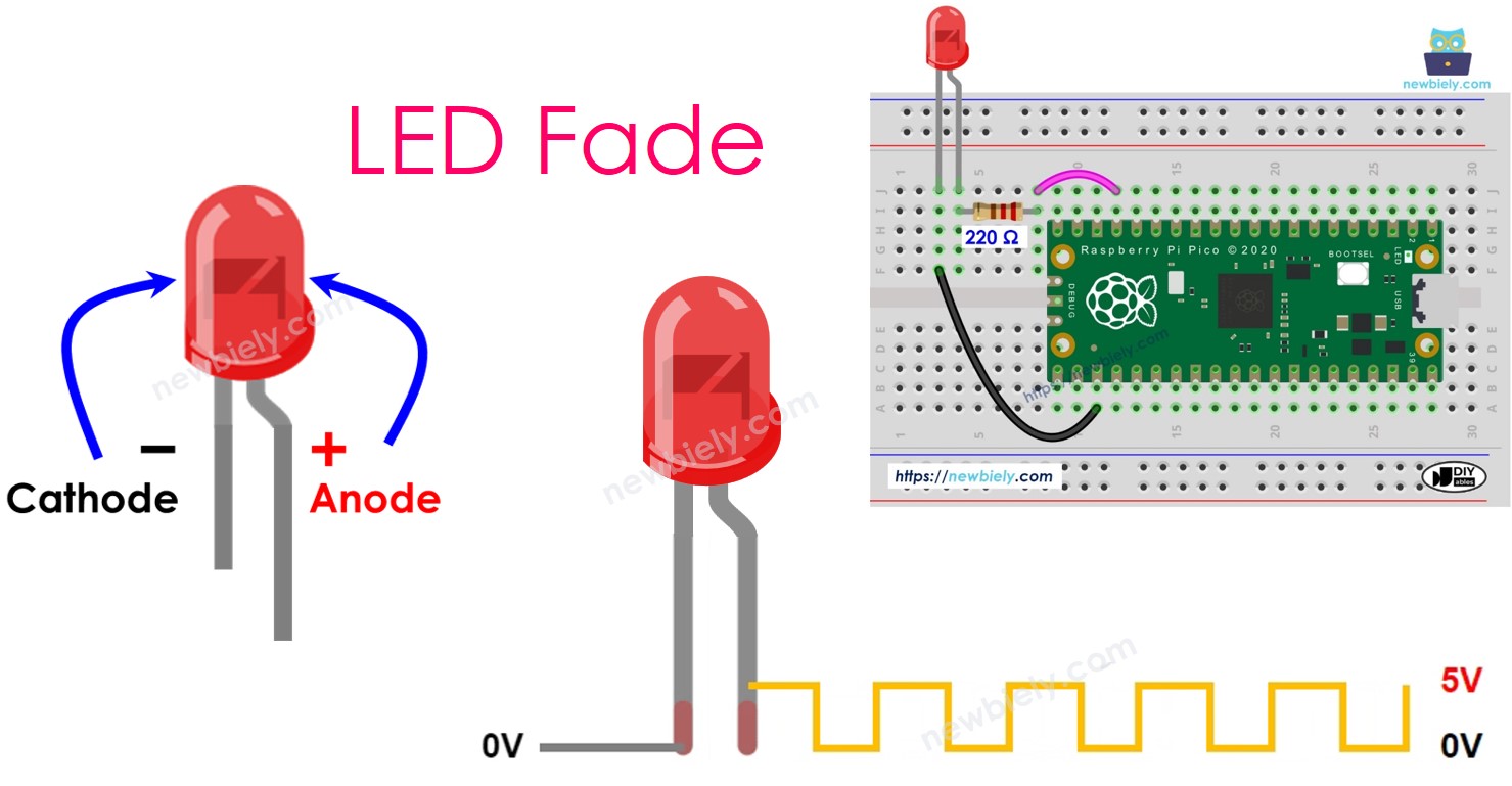 라즈베리 파이 피코 페이드 LED