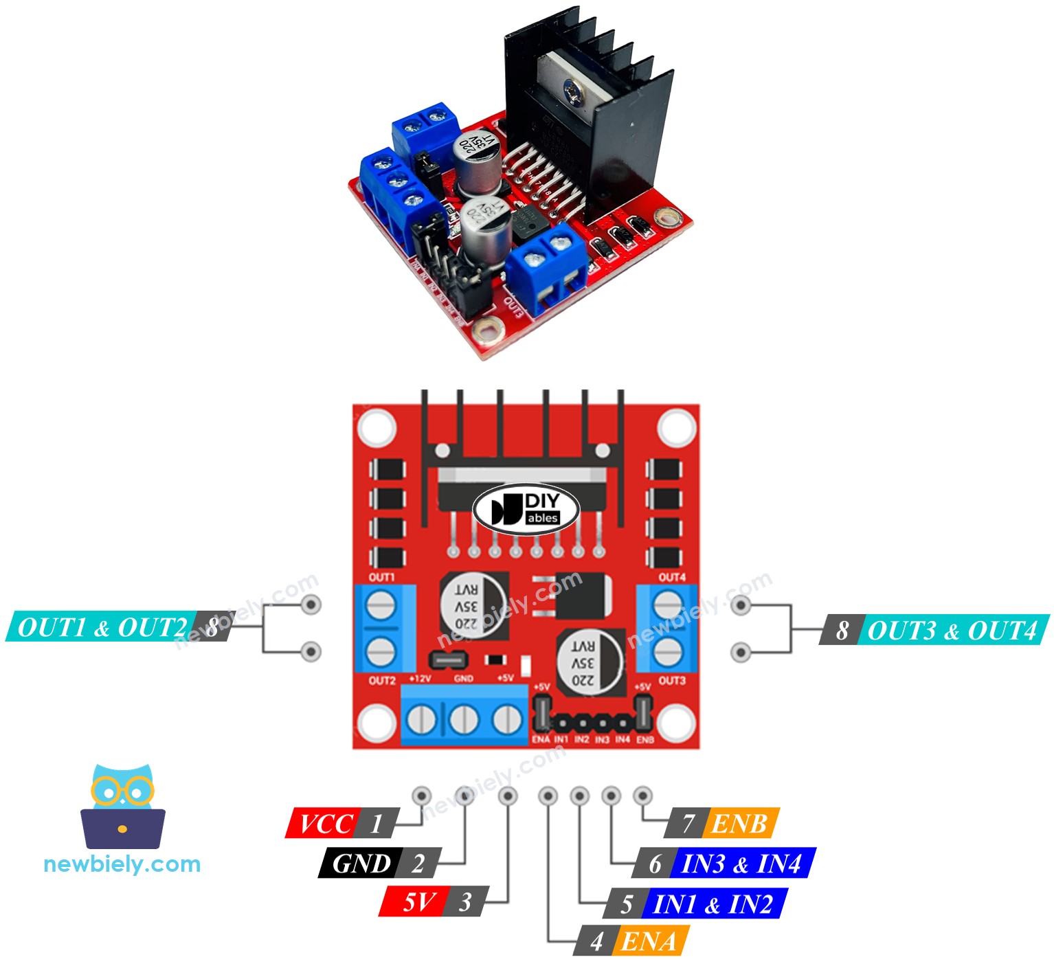 L298N Driver pinout